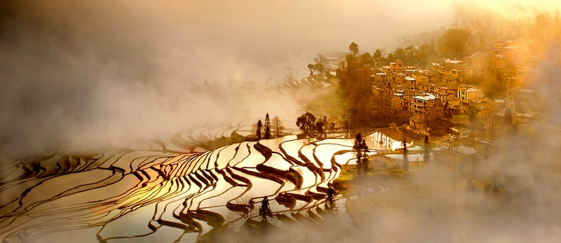 550 - SPRING - CHEN TIANZHAN - china.jpg